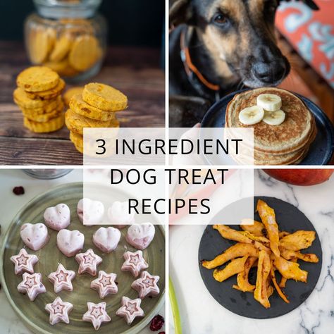 Discover quick and easy 3 ingredient dog treats recipes! Simple, budget-friendly, and packed with natural flavors your pup will love. Quick And Easy Dog Treats, Simple Dog Treats, Long Lasting Dog Treats Homemade, Blueberry Dog Treat Recipe, Dog Treats Recipes, Dog Treats Homemade Pumpkin, 3 Ingredient Dog Treats, Easy Homemade Dog Treats, No Bake Dog Treats