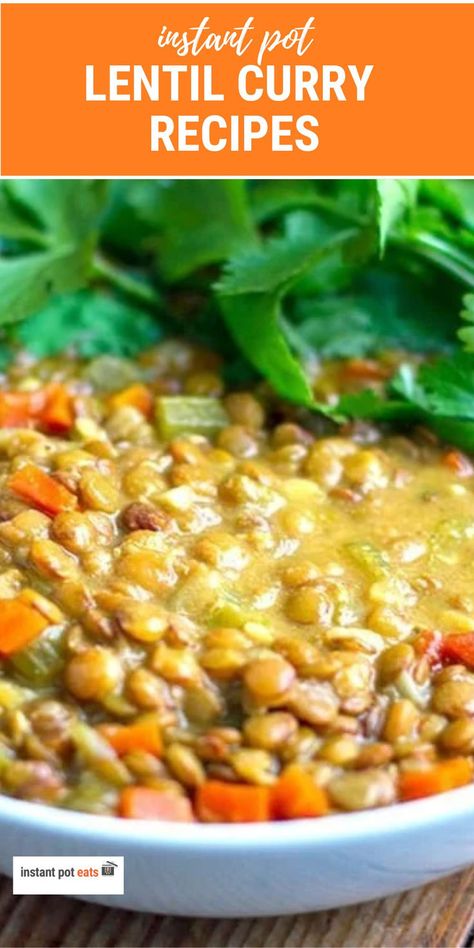 Instant Pot Lentil Curry Recipe Curried Lentils, Lentil Curry Recipes, Lentils Vegan, Curried Lentil Soup, Curry Stew, Vegetarian Instant Pot, Meat Diet, Dried Lentils, Bean Soup Recipes