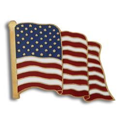 American Flag Pin - Made in the USA American Flag Pin, Novelty Jewelry, Flag Pins, United States Flag, Gold Pin, Enamel Lapel Pin, Patriotic Gifts, Enamels, True Red