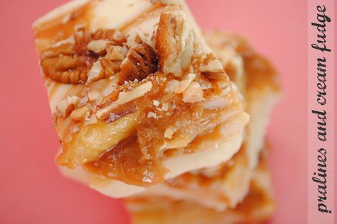 praline fudge Pralines And Cream, Cream Fudge, Candy Truffles, Macadamia Nut, Homemade Candies, Candy Desserts, Fudge Recipes, How Sweet Eats, Sweet Candy