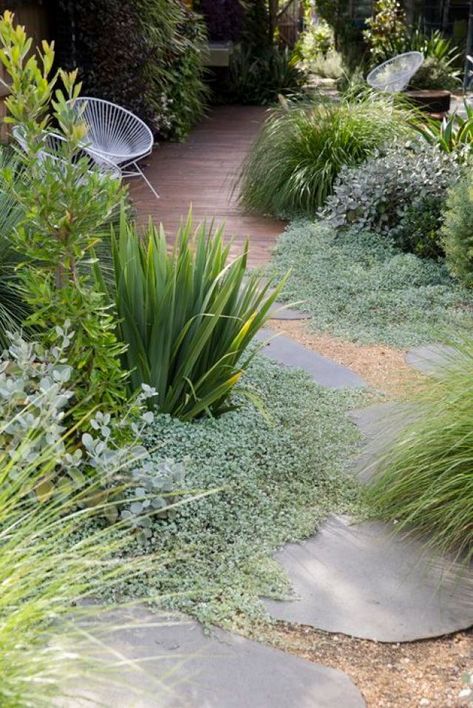 Australian Coastal Style, Peter Fudge, Stone Garden Paths, Australian Native Garden, Australian Garden, Gravel Garden, Coastal Gardens, Have Inspiration, The Secret Garden