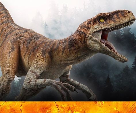 Jurassic Park Raptor, Jurassic World 3, Jurassic World Evolution, Jurassic World Dominion, Jurrasic Park, Jurassic World Dinosaurs, Dnd Monsters, Extinct Animals, Jurassic Park World