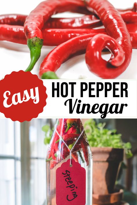 Hot Chili Pepper Vinegar Hot Pepper Vinegar How To Make, Hot Pepper Vinegar, Pepper Vinegar, Beans And Greens, Cilantro Garlic Sauce, Flexitarian Recipes, Diy Food Gifts, Easy Drink Recipes, Honey Mustard Sauce