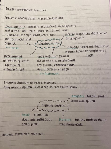 Digestive System Notes, Gcse Tips, Chemistry Revision, Academic Comeback, Science Revision, Study Goals, Handwriting Ideas, Notes Tips, Biology Revision