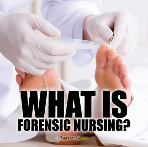 👩‍⚕️ Forensic Nurse is an all-important individual who can help those who have been neglected, abused, sexually assaulted as well as many other types of violent crimes. LEARN MORE Forensic Nursing, Forensic Nurse, Nurse Rock, Nursing Jobs, Forensic, Registered Nurse, Nurse Life, Law Enforcement, Lawyer