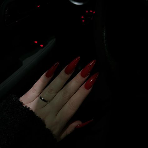 classic red 💃🏼🥀💌❣️ . . . #nails #polygel #polygelnails #nailsinspiration #acrylgel #nailinspiration #classicrednails #classicnails #rednails Classic Red Nails, Nails Polygel, Polygel Nails, Classic Nails, Red Nails, Nails Inspiration, Nails, Red