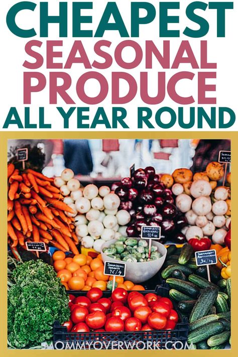 SEASONAL PRODUCE - best time to buy fruits and vegetables year round by month annually. Get a free printable seasonal produce chart in pdf that breaks down veggies and fruits in season during spring, summer, fall, winter that's broken down by what's in season in january, february, march, april, may, june, july, august, september, october, november and december. Use this guide to save money on groceries and food year round when you head to the supermarket or grocery store. Seasonal Produce Chart, Fruits In Season, Vegetable Chart, Best Time To Buy, Produce Recipes, Seasoned Veggies, Monthly Meal Planning, Seasonal Produce, Winter Vegetables