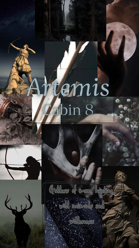 Artemis aesthetic cabin, Half-Bloof Camp, Percy Jackson Percy Jackson Cabin 8 Aesthetic, Artemis Cabin Percy Jackson, Artemis Cabin Aesthetic, Cabin 8 Artemis Aesthetic, Percy Jackson Cabins Aesthetic, Cabin 8 Aesthetic, Percy Jackson Artemis, Camp Half Blood Wallpaper, Cabin 8 Artemis