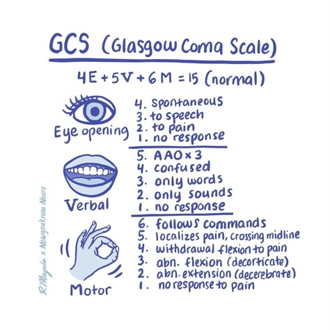 NowYouKnowNeuro | 🧠 Glasgow Coma Scale: Master the Basics The GCS is a widely used scoring system to assess the level of consciousness in patients with... | Instagram Respiratory System Nursing, Glasgow Coma Scale (gcs), Glasgow Scale, Gcs Score, Emt Notes, Paramedic Study, Medical School Notes, Med School Notes, Nursing School Studying Cheat Sheets