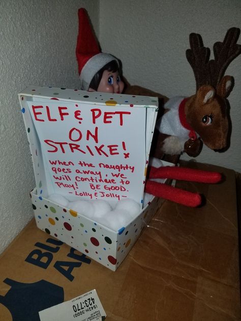 Our elf on the shelf Lolly and pet Jolly elf and pet on strike How To Introduce Elf Pet, Elf And Elf Pet Ideas, Elf On The Shelf With Pet Ideas, Elf And Pet Ideas, Artic Fox Elf Pet Ideas, Elf On The Shelf Dog Ideas, Elf Pets Arrival, Elf Pet Ideas, Elf On The Shelf Pet Ideas