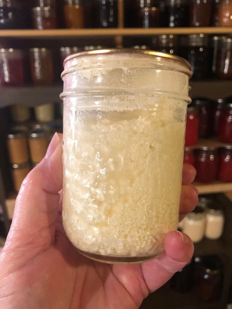 Preserving Creamy Delights: Canning Sour Cream for a Flavorful Future Sterilizing Canning Jars, Homemade Sour Cream, Stuffed Baked Potatoes, Cottage Cheese Recipes, Pressure Canner, Cheese Making, Cream Cheese Spreads, Pressure Canning, Cheese Spread