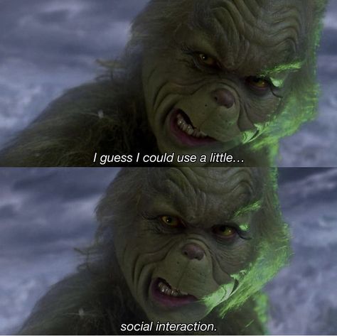 Grinch Quotes Funny Jim Carrey, The Grinch Quotes, O Grinch, Anti Christmas, Christmas Lockscreen, Grinch Quotes, Mr Grinch, The Grinch Movie, Hate Christmas