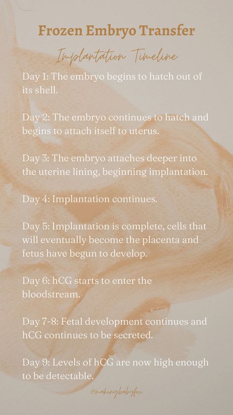 Frozen embryo transfer timeline, day 5 transfer, IVF transfer. Frozen Embryo Transfer Timeline, Fet Ivf, Ivf Timeline, Ivf Preparation, Ivf Diet, Embryo Implantation, Pregnancy Preparation, Frozen Embryo Transfer, Embryo Adoption