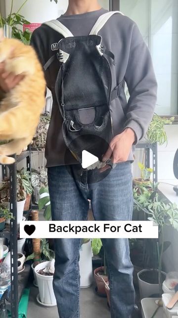 TailTrinkets on Instagram: "🐾 Adventure awaits with our Cat Backpack Carrier! 🌟 Explore the world together in style and comfort. 😺 This backpack is specially designed for feline companions, featuring a cozy interior and breathable mesh for maximum comfort. 🎒 Perfect for travel or a day out with your adventurous kitty! Get yours today and embark on new experiences with your fur baby. 🌍🐱 #CatBackpack #AdventureWithCats #TravelWithPets #CatLovers" Cat Backpack Carrier, Cat Backpack, New Experiences, Cat Garden, Kitty Kitty, Cozy Interior, Explore The World, May 13, Adventure Awaits