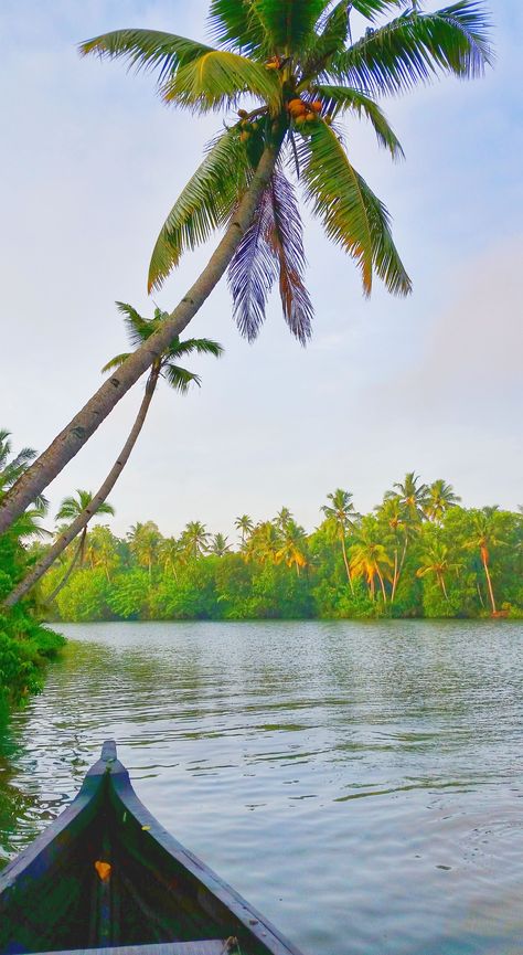 Land Pictures, Kerala Pictures, Kerala Images, Kerala Wallpaper, Natural Image, Kerala Nature Images, Kerala Travel, World Most Beautiful Place, New Background Images