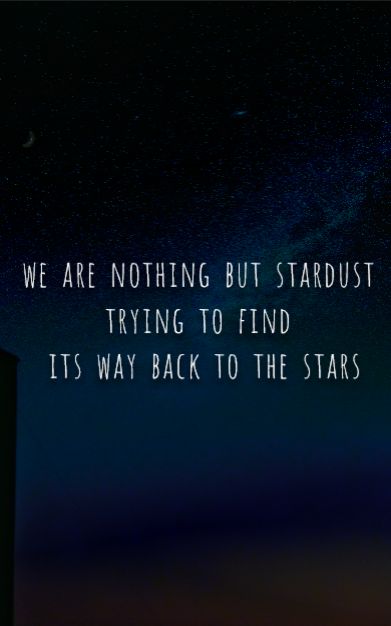 //we are nothing but stardust// We Are Stardust Quotes, We Are All Made Of Stardust, Stardust Aesthetic, Stardust Quotes, We Are Made Of Stardust, Author Inspiration, Star Love Quotes, We Are Stardust, Night Stars