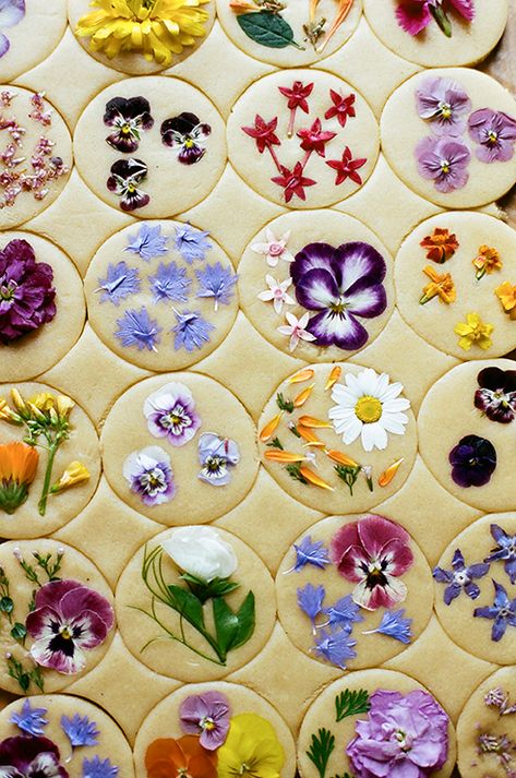 Becoming Loria Stern - The House That Lars Built Herb Desserts, Flower Sugar Cookies, Instagram Cookies, Edible Flowers Recipes, Flower Cookies, Flower Food, Slow Food, Shortbread Cookies, Edible Flowers