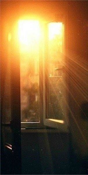 Window View, Open Window, Morning Light, Image Hd, Light Photography, Aesthetic Photography, Light And Shadow, Beautiful Nature, Background Images