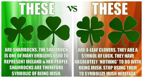 Irish truth Shamrock Tattoos, One Tattoo, Irish Eyes Are Smiling, Celtic Heritage, Irish Quotes, Irish Roots, Irish Pride, Irish Eyes, 4 Leaf Clover