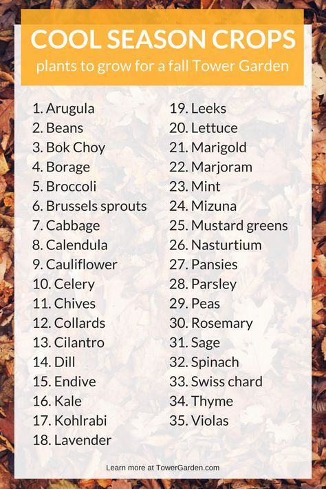 35 Cool Season Crops to Grow in Your Tower Garden this Fall Gemüseanbau In Kübeln, Tattoo Plant, Fall Vegetables, Fall Garden Vegetables, Plants To Grow, Tower Garden, Organic Vegetable Garden, Winter Vegetables, Winter Plants