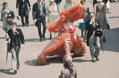 1969, Mrs Gertrude Shilling at the Ascot races Ascot Horse Racing, Katie White, Shrinking Violet, Trend Board, Royal Ascot Hats, Ascot Hats, Hat Day, Image Film, Crazy Hats