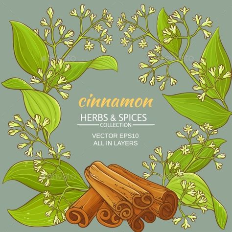 Cinnamon Vector Pattern cinnamon branches vector frame on color background #Cinnamon, #Vector, #Pattern Spice Packaging, Spices Packaging, Branch Vector, Vector Frame, Tea Design, Cinnamon Flavor, Line Art Design, Color Background, Vector Pattern