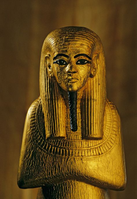 Statue of Duamutef; Gold; wood, KV 62, Tutankhamun and the Golden Age of the Pharaohs, Page 217 Egyptian Sculpture, Egyptian Heritage, Egypt Mummy, Egypt Ancient, Kemet Egypt, Egypt History, Tutankhamun, Egyptian History, Ancient Egyptian Art