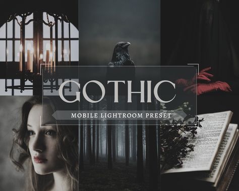 Gothic Horror Aesthetic, Moody Dark Academia, Goth Academia, Photoshop Presets, Lightroom Tutorial Photo Editing, Dark Christmas, Professional Lightroom Presets, Adobe Lightroom Cc, Lightroom Tutorial