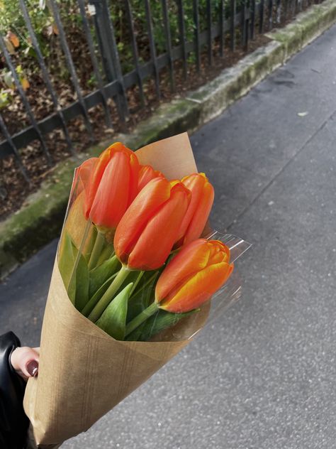 Orange Tulips Bouquet, Tulips Meaning, Orange Tulips, Tulip Bouquet, Nothing But Flowers, Plant Aesthetic, Flower Therapy, White Tulips, Happy Flowers