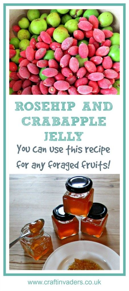 Rose Hip and Crab Apple Jelly is a fabulous recipe made from foraged fruits… Rose Hip Jelly, Foraged Recipes, Crab Apple Recipes, Rosehip Recipes, Crab Apple Jelly, Sitting Under A Tree, Home Made Gift Ideas, Apple Jelly, Foraging Recipes