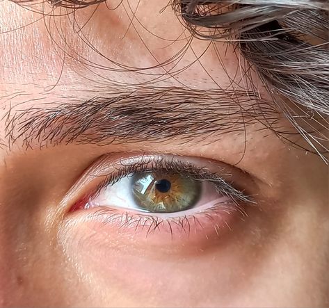 Göz Bee Königswasser, Ruthless Empire, Love On The Brain, Hazel Green Eyes, Ali Hazelwood, Beautiful Eyes Color, Hazel Green, Face Study, Male Eyes