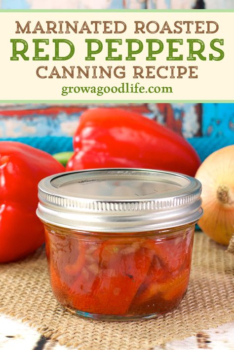 Preserved Roasted Red Peppers, Canning Peppers In Oil, Pepper Canning Recipes, Garden Preservation, Canning Bell Peppers, Roasted Red Peppers Recipes, Olive Oil Marinade, Summer Canning, Making Pickles