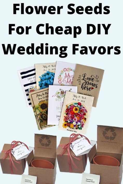 Cheap Diy Wedding Favors, Flower Seed Wedding Favors, Spring Flower Arrangements Diy, Seed Gifts, Flower Seeds Wedding Favor, Cute Wedding Favors, Flower Seed Gifts, Diy Wedding Favors Cheap, Gift Card Bouquet