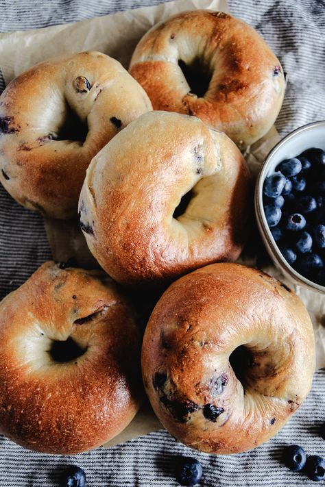 Sourdough Blueberry Bagels - Aberle Home Plain Sourdough Bagels, Sourdough Bagels Blueberry, Sourdough Bialy Recipe, Bagel Recipe Blueberry, Sourdough Discard Blueberry Bagels, Cranberry Bagels Recipe, Homemade Blueberry Bagels, Sourdough Beagles, Blueberry Sourdough Bagels