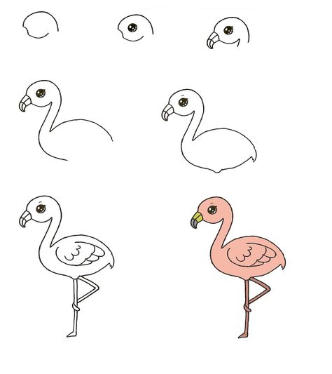 How To Draw A Flamingo In The Best Way 1 Draw A Flamingo, Flamingo Coloring Page, Lol Coloring Pages, Lol Coloring, Body Outline, Different Lines, Learning To Draw, Owls Drawing, Red Feather