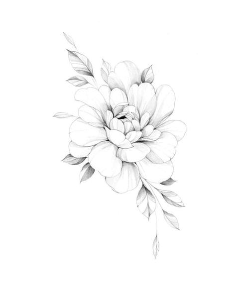 Peony Tattoo With Words, Peony Tattoo Behind Ear, Tiny Peony Tattoo Simple, Peony And Daffodil Tattoo, Peony Pencil Drawing, Peony Birth Flower Tattoo, Fineline Peony Tattoo, Small Peony Tattoo Simple, Single Peony Tattoo