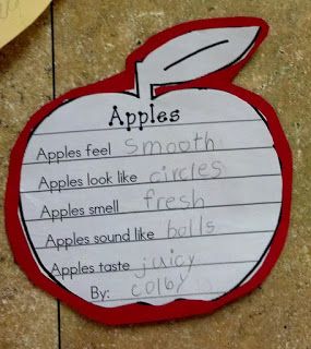 Together brainstorm what apples feel, look. smell, sound, and taste like. No printable, just photo and other good ideas for apple theme. Apple Poem, Types Of Apples, Apple Kindergarten, Apple Week, September School, Apple Day, Apple Lessons, Apple Preschool, Apple Unit