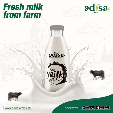 Adisa Farms delivers fresh milk directly from the farms to your doorstep. Unprocessed and unpasteurized milk full of natural benefits.  #Milk #OrganicFarming #OrganicProducts #Cowmilk #BuffaloMilk #Organicfarms Unpasteurized Milk, Dairy Shop, Yoghurt Packaging, Milk Cow, Fresh Milk, Organic Farming, Dairy, Water Bottle, Milk