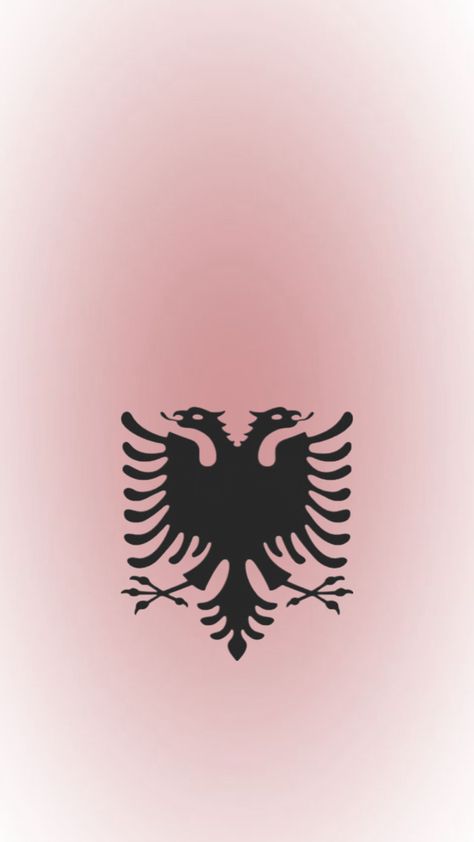 #shqip Kosovo Flag, Albanian Flag, Albania Flag, Albanian Culture, Airplane Wallpaper, Future Wallpaper, Beautiful Cross Stitch Pattern, Doodle Art Designs, Black Pink Instagram