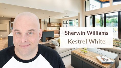 Sherwin Williams Kestrel White, Benjamin Moore Glacier White, Kestrel White, Benjamin Moore China White, Benjamin Moore Super White, Paint Color Pallets, Taupe Paint Colors, Sherwin Williams Green, Cream Paint Colors