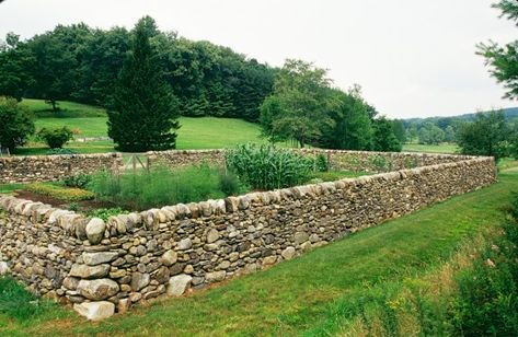 Stone Walls Garden, Winter Greenhouse, Stone Fence, Garden Fences, Stone Wall Design, Open Days, Outdoor Stone, Dry Stone Wall, Dry Stone