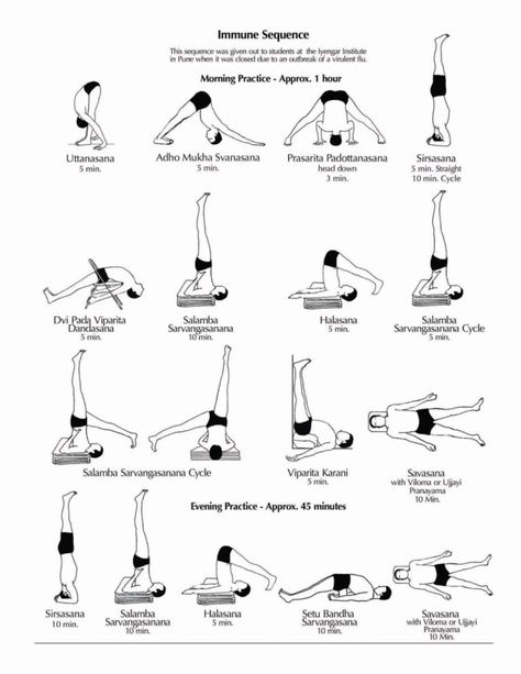 Yoga Rope Wall, Iyengar Yoga Sequence, Bks Iyengar Yoga, Iyengar Yoga Poses, Yoga Rope, Yoga Poses Chart, Morning Yoga Sequences, Yoga Chair, Bks Iyengar