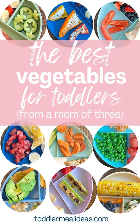 One Year Old Veggie Ideas, Vegetables For One Year Old, Veggies For One Year Old, Toddler Vegetable Ideas, Vegetable Ideas For Kids, Fun Veggies For Kids, Veggies For Toddlers Picky Eaters, Toddler Veggie Recipes, Toddler Meals With Veggies