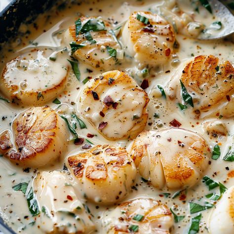 Creamy Tuscan Garlic Scallops Creamy Tuscan Scallops, Creamy Tuscan Spaghetti With Scallops, Creamy Tuscan Garlic Scallops, Tuscan Scallops Recipe, Patagonian Scallops Recipe, Italian Scallops, Bay Scallop Recipes Easy, Tuscan Scallops, Scallop Alfredo