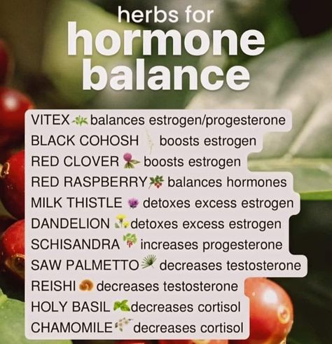 Hormone Nutrition, Adrenal Health, Healthy Hormones, Menstrual Health, Feminine Health, Hormone Balance, Herbal Healing, Home Health Remedies, Herbs For Health