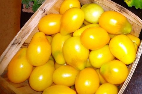 We Like Making Our Own Stuff: Yellow Pear Tomato Jam (Plus Sweet and Sour Chicken recipe) Homestead Projects, Sweet And Sour Chicken Recipe, Sour Chicken Recipe, Best Spaghetti Sauce, Tomato Jam Recipe, Small Homestead, Jalapeno Chili, Tomato Dishes, Fresh Tomato Recipes