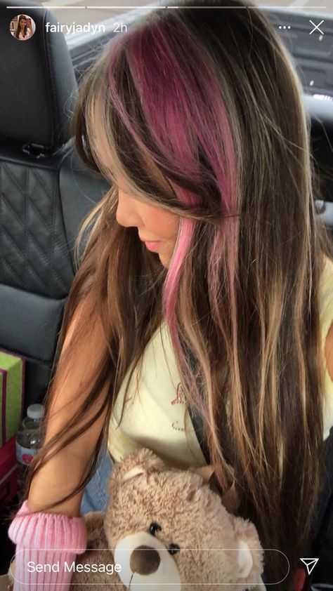 2000s Hair Color Ideas, Funky Brown Hair, Pink Calico Hair, Multicolor Hair Dye, Unique Hair Dye Ideas Brunettes, Neapolitan Hair, Multicolor Hair, Skunk Hair, How To Have Style