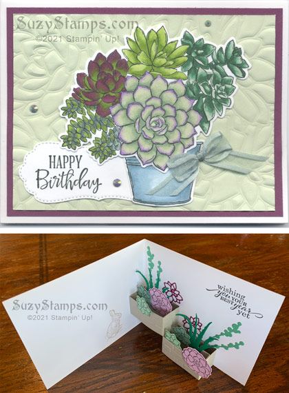 Stampin Up Soft Succulent Cards, Stampin Up Soft Succulent Color Combos, Stampin Up Potted Succulents Dies, Stampin Up Succulents Cards, Su Simply Succulents, Su Simply Succulents Cards, Stampin Up Succulent Garden Cards, Succulent Cards Handmade, Oh So Succulent Stampin Up Cards