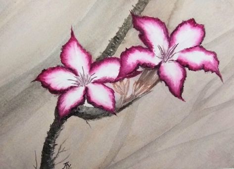 Impala Lily Tattoo, Desert Rose Tattoo, Lilies Watercolor, Impala Lily, Lillies Tattoo, Lilies Drawing, Lily Tattoo, Tropical Flower, Desert Rose