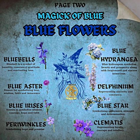 Feeling blue? Don't be! In witchcraft, blue isn't just a mood, it's a powerful magical tool. ✨ Dive deeper into the calming, communicative, and psychic properties of blue for spells, rituals, and everyday life. #witchcraft #colourmagick #bluemoonvibes #witchmemes #witchcraft #witchlife #witchtips #wordsofwisdom #themagickcabinet #witchwords Blue Lotus Flower Magical Properties, Blue Cornflower Magical Properties, Rainbow Witch, Personal Philosophy, Blue Lotus Flower, Magick Spells, Ritual Bath, Blue Lotus, Super Moon